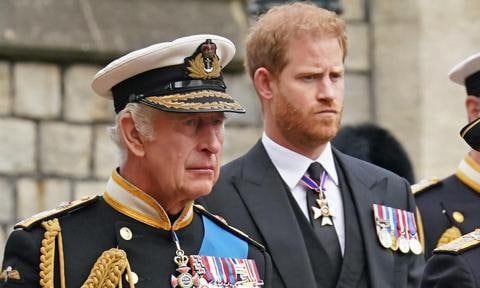 King Charles is taking over one of son Prince Harry’s former roles