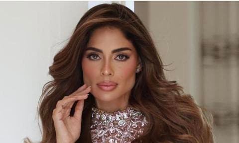 Miss Universe Colombia 2023, Camila Avella