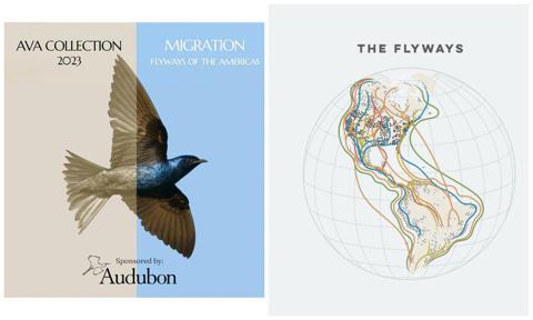 AVA Collection & Silent Auction 2023: “MIGRATION: Flyways of the Americas”
