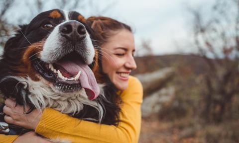 Can pets help improve our mood and personality?