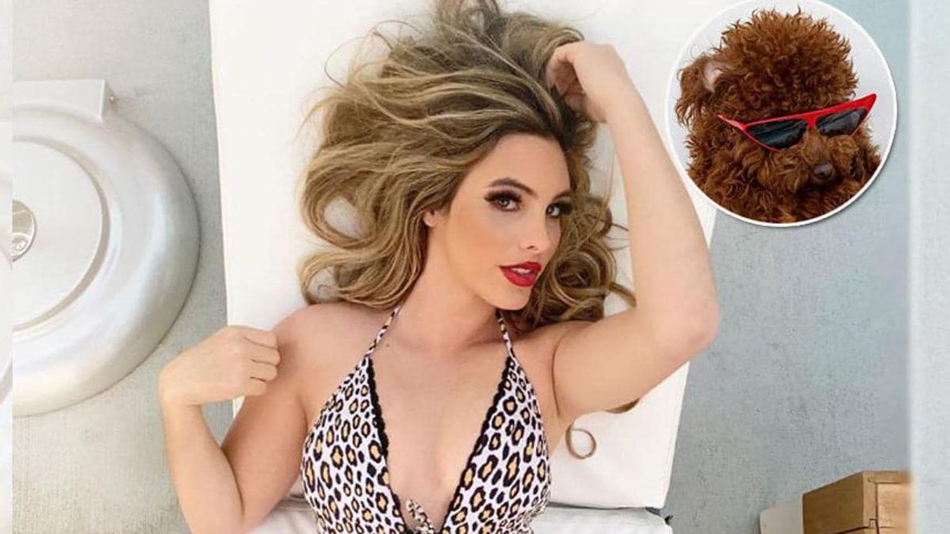 Lele Pons gets attacked by a Pitbull - Vimarsana News